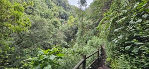 Aufstieg im Cubo de la Galga