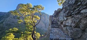 Steiler Aufstieg zum Beginn