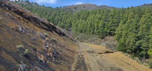 Blick hinauf zur Vulkanroute
