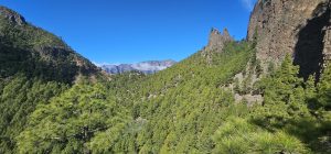 Das Ziel kommt langsam näher