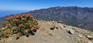 Blick vom Pico Bejenado in die Cumbrecita