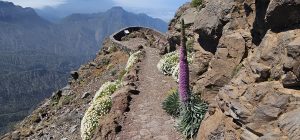 Mirador am Roque des los Muchachos