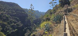 Anstieg im letzten großen Barranco
