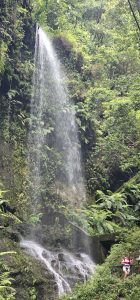 Cascada de Los Tilos
