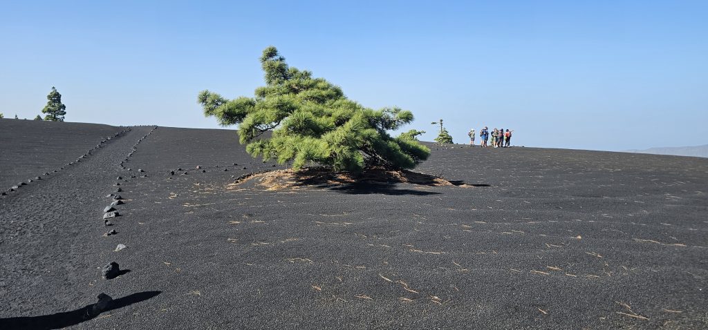 Weg zum Volcán Tajogaite