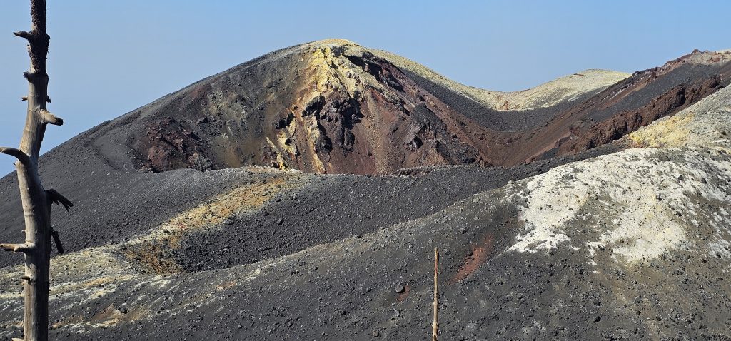Faszinierende Einblicke
