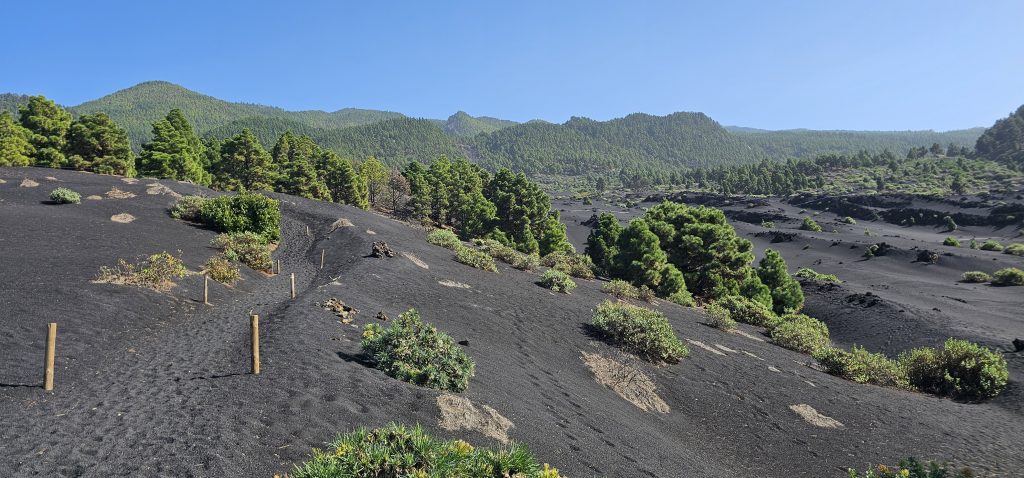 Blick zum Vulkan San Juan