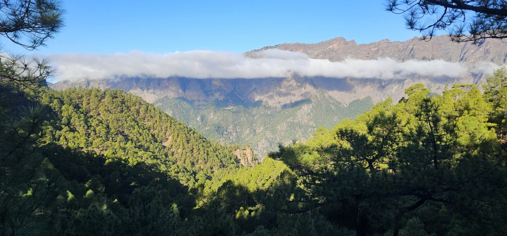 Eine kleine Rundtour an der Cumbrecita mit traumhaften Ausblicken in der Caldera de Taburiente und den über 2.000 Meter aufragenden Kraterrand der gegenüberliegenden Seite.