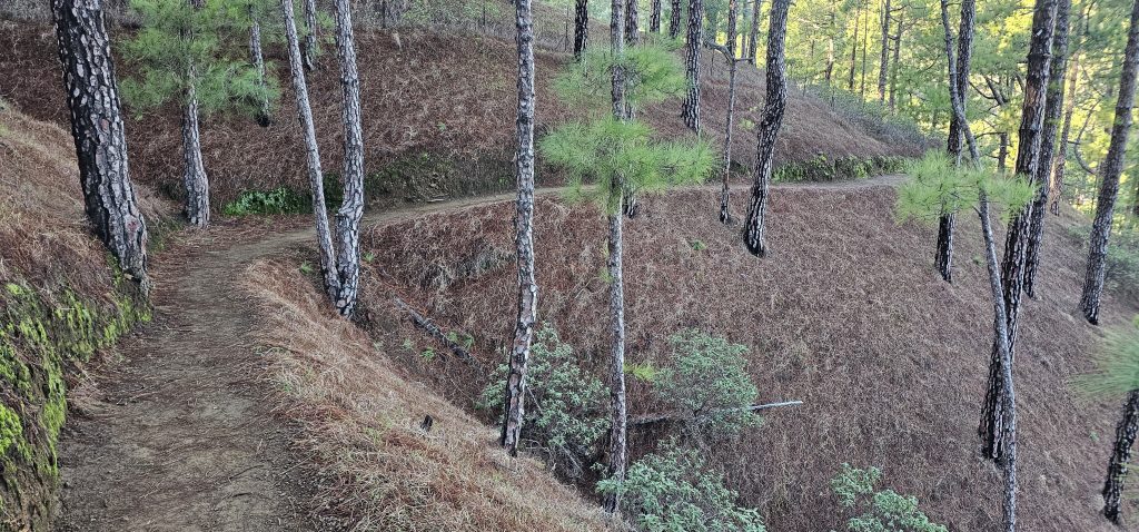 Rundweg an der Cubrecita im unteren Bereich, hier geht es überwiegend gemütlich durch den Wald
