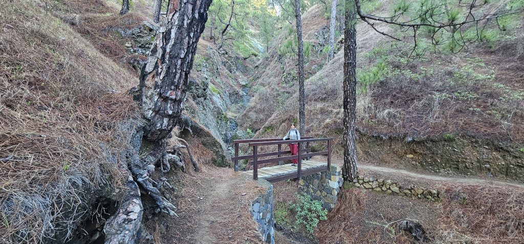 Einfach zu begehender Wanderweg im unteren Teil des Rundweges an der Cubrecita im Zentrum der Insel La Palma