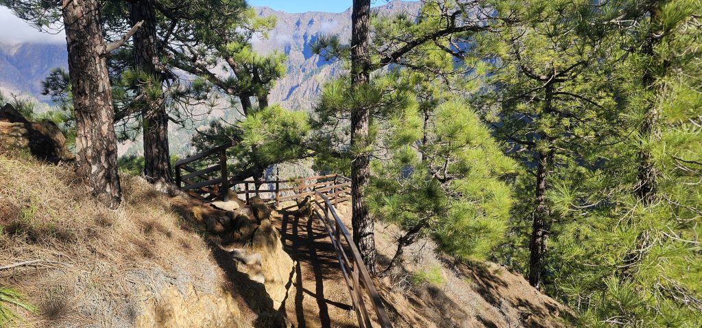 Weg zum Mirador Lomo de las Chozas, von hier aus hat man einen traumhaften Blick in die Caldera de Taburiente und auf den steilen Kraterrand gegenüber; das Zentrum der zauberhaften Insel La Palma