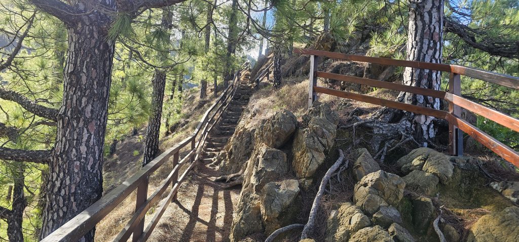 Rückweg vom Mirador Lomo de las Chozas zum Rundweg an der Cumbrecita, im Zentrum der Insel La Palma