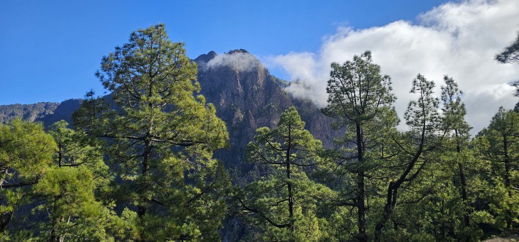 Blick von der Cubrecita in Richtung Punta de los Roques