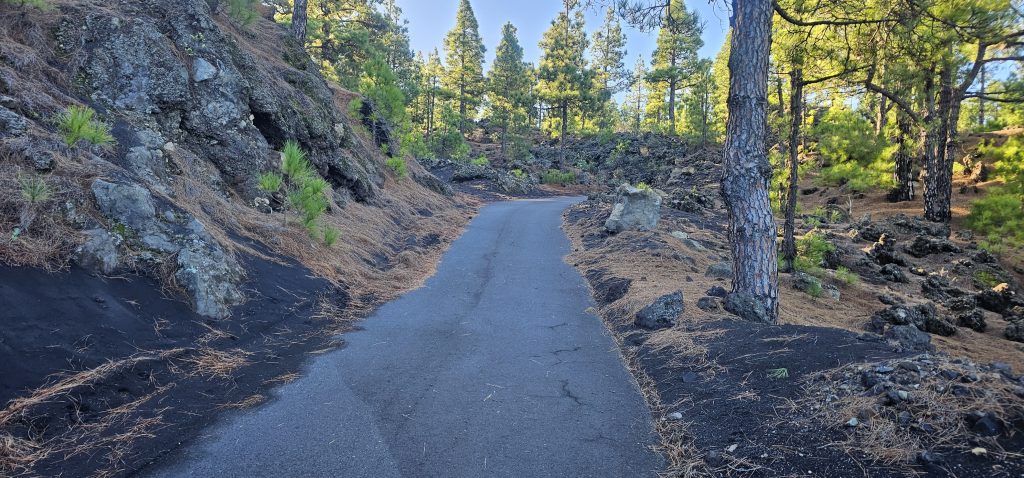 Eine schöne und kurzweilige Runde an den Hängen des Vulkan Tajuya mit tollen Ausblicken auf die Westküste, das Aridanetal und den neuen Vulkan Tajogaite (2021)