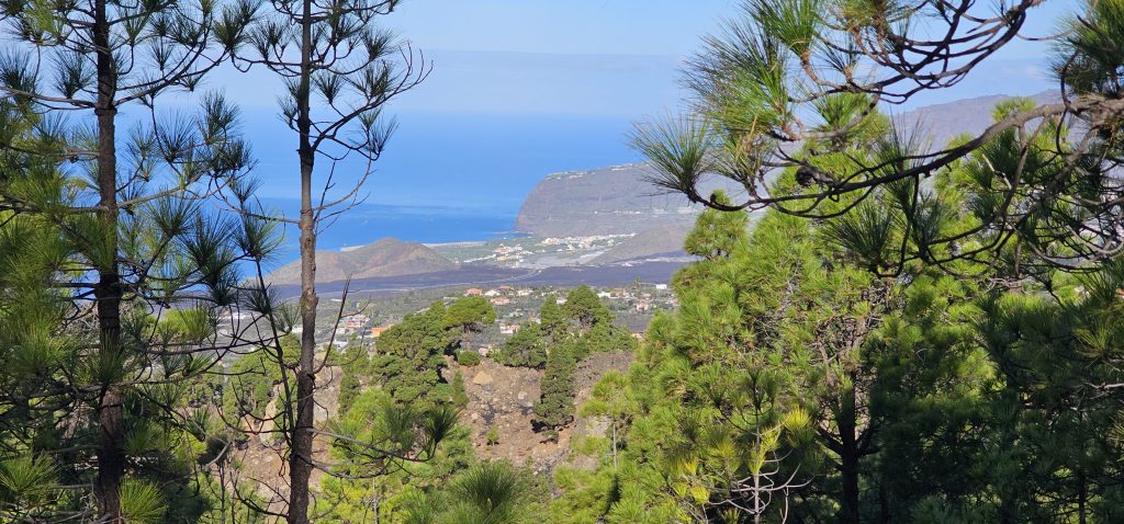 Eine schöne und kurzweilige Runde an den Hängen des Vulkan Tajuya mit tollen Ausblicken auf die Westküste, das Aridanetal und den neuen Vulkan Tajogaite (2021)