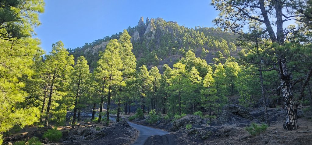 Eine schöne und kurzweilige Runde an den Hängen des Vulkan Tajuya mit tollen Ausblicken auf die Westküste, das Aridanetal und den neuen Vulkan Tajogaite (2021)