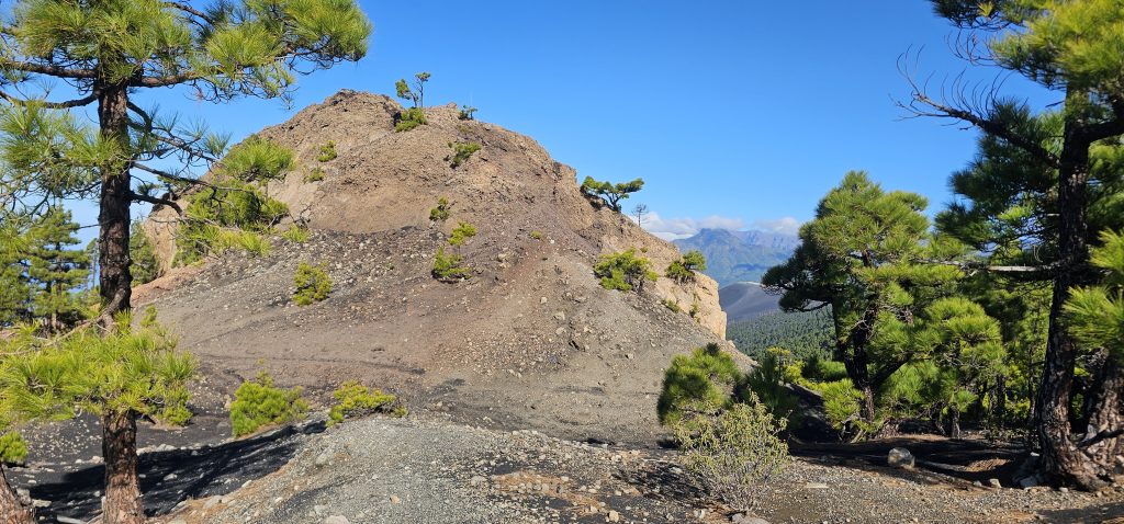 Eine schöne und kurzweilige Runde an den Hängen des Vulkan Tajuya mit tollen Ausblicken auf die Westküste, das Aridanetal und den neuen Vulkan Tajogaite (2021)
