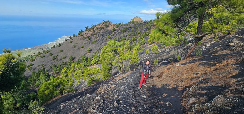 Eine schöne und kurzweilige Runde an den Hängen des Vulkan Tajuya mit tollen Ausblicken auf die Westküste, das Aridanetal und den neuen Vulkan Tajogaite (2021)