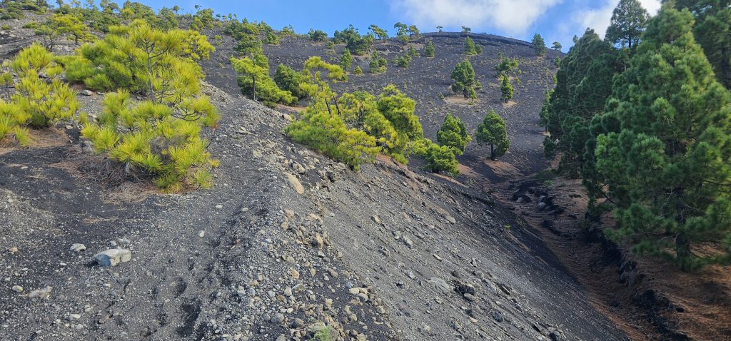 Eine schöne und kurzweilige Runde an den Hängen des Vulkan Tajuya mit tollen Ausblicken auf die Westküste, das Aridanetal und den neuen Vulkan Tajogaite (2021)