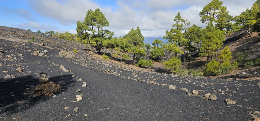 Eine schöne und kurzweilige Runde an den Hängen des Vulkan Tajuya mit tollen Ausblicken auf die Westküste, das Aridanetal und den neuen Vulkan Tajogaite (2021)