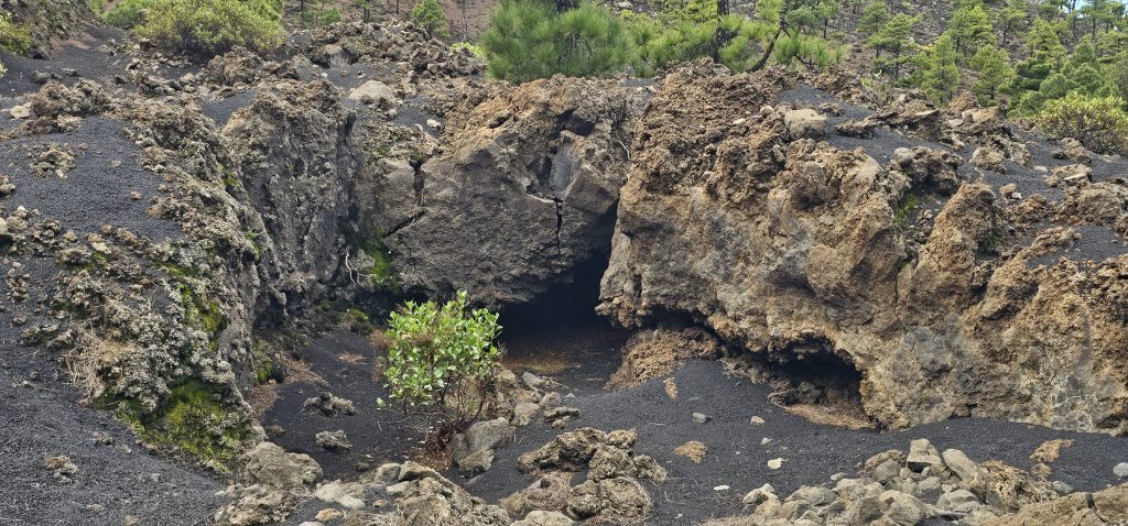 Eine schöne und kurzweilige Runde an den Hängen des Vulkan Tajuya mit tollen Ausblicken auf die Westküste, das Aridanetal und den neuen Vulkan Tajogaite (2021)
