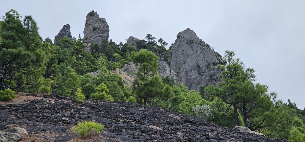 Eine schöne und kurzweilige Runde an den Hängen des Vulkan Tajuya mit tollen Ausblicken auf die Westküste, das Aridanetal und den neuen Vulkan Tajogaite (2021)