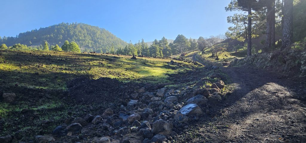 Barranco Izcagua Mandelblüte: Forstpiste, die Dich immer weiter bergauf bringt
