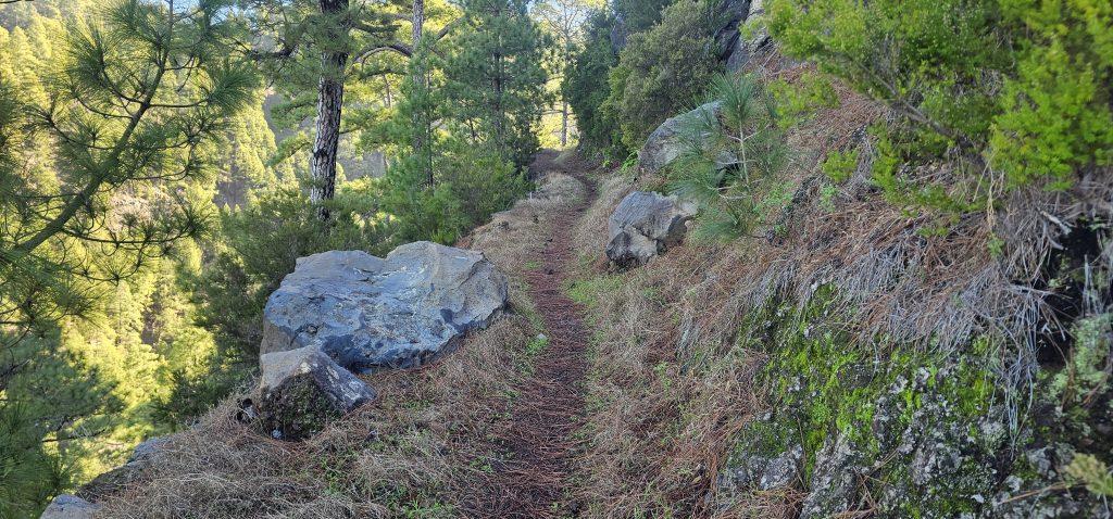 Barranco Izcagua Mandelblüte: Kleiner Pfad am Rande des Barrancos Izcagua