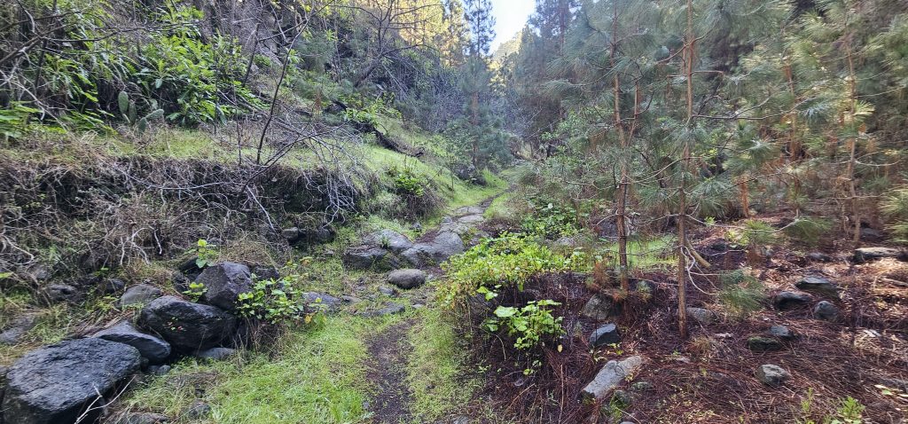 Barranco Izcagua Mandelblüte: Angekommen im Barranco-Grund