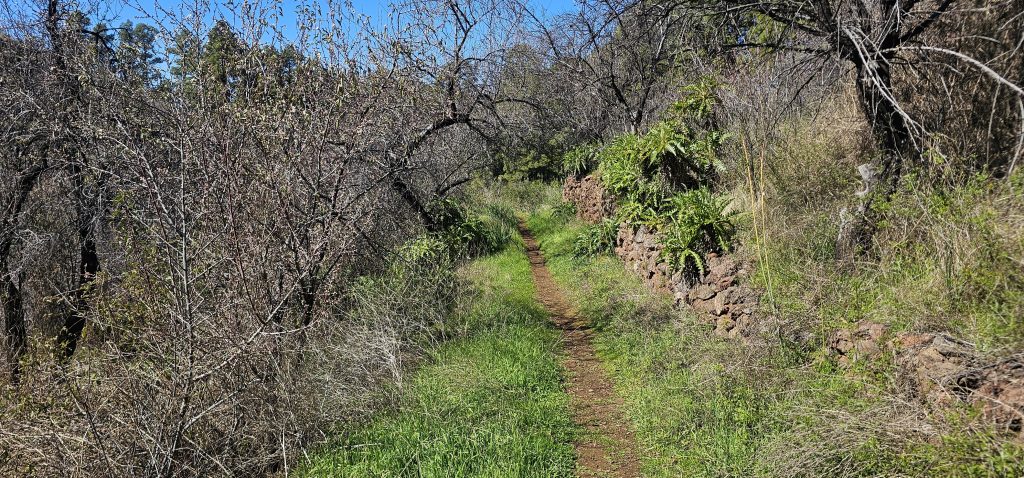 Barranco Izcagua Mandelblüte: Ab hier geht es wieder leicht bergab