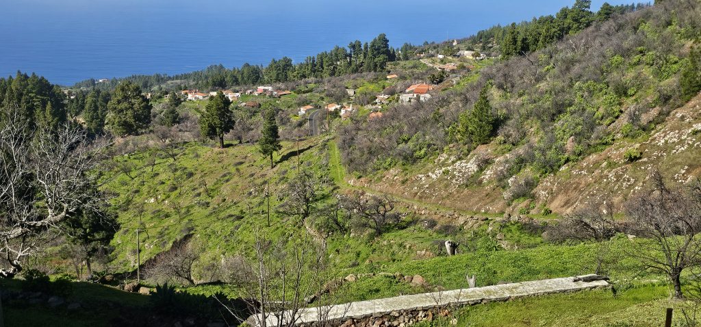 Barranco Izcagua Mandelblüte: Weg hinunter nach Las Tricias