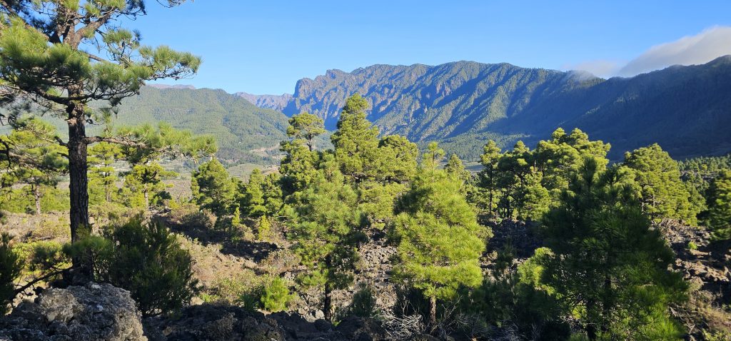 Rundwanderung El Paso - Llano del Jable - Tacande: Blick hinüber zur Cumbre Nueva