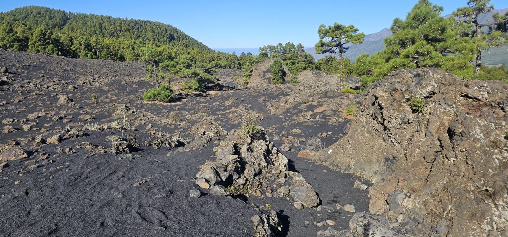 Rundwanderung El Paso - Llano del Jable - Tacande: Blick das Lava-Feld hinunter
