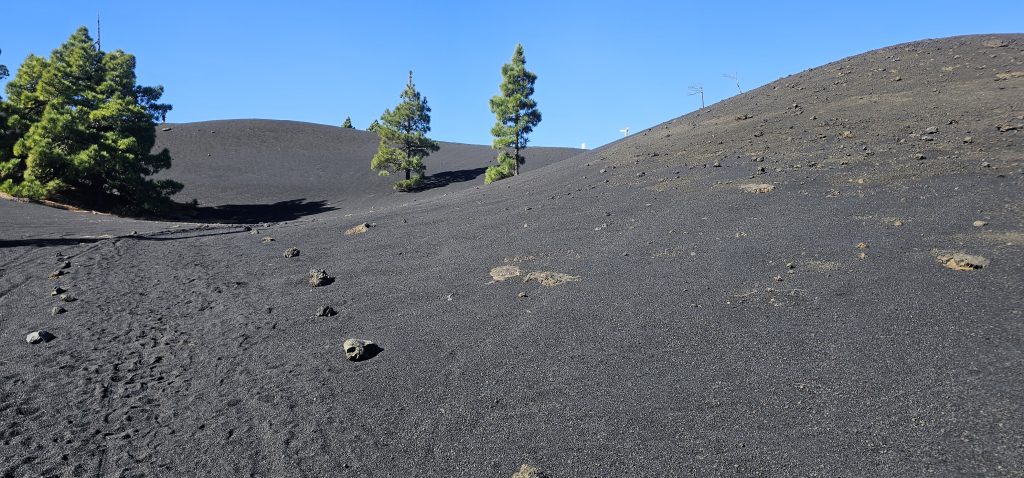Rundwanderung El Paso - Llano del Jable - Tacande: Hügel aus Lava-Grus