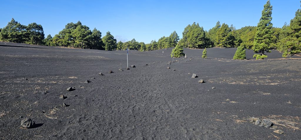 Rundwanderung El Paso - Llano del Jable - Tacande: Der Weg Richtung Tacande