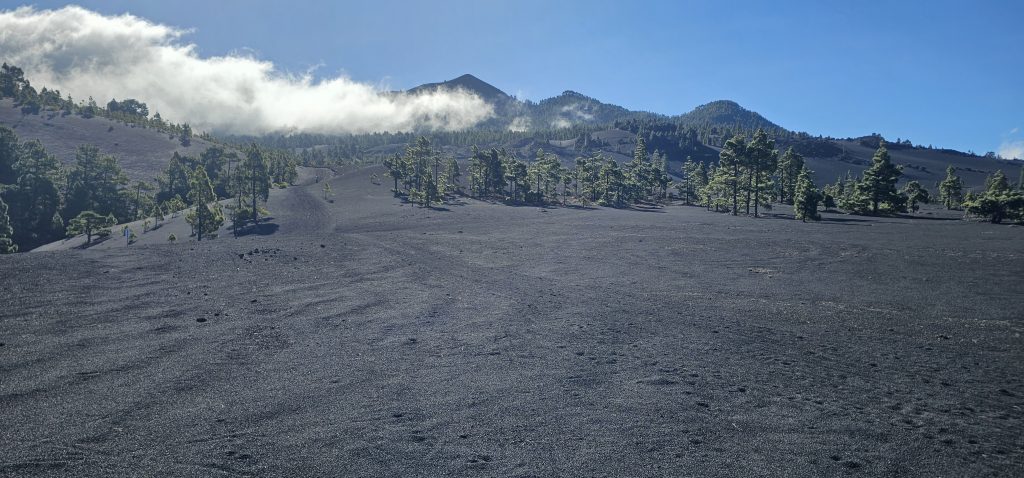 Rundwanderung El Paso - Llano del Jable - Tacande: Blick zum Pico Birigoyo