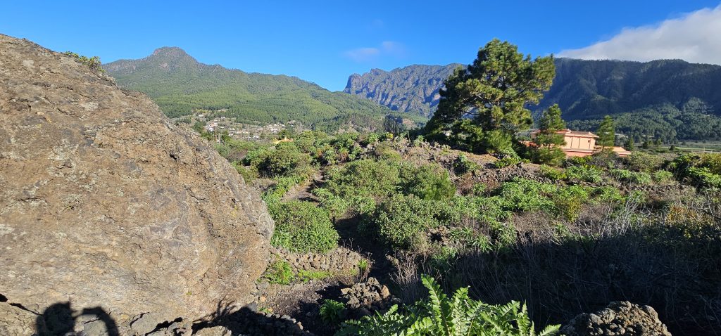 Rundwanderung El Paso - Llano del Jable - Tacande: Blick über das Lava-Feld zum Pico Bejenado und der Cumbre Nueva