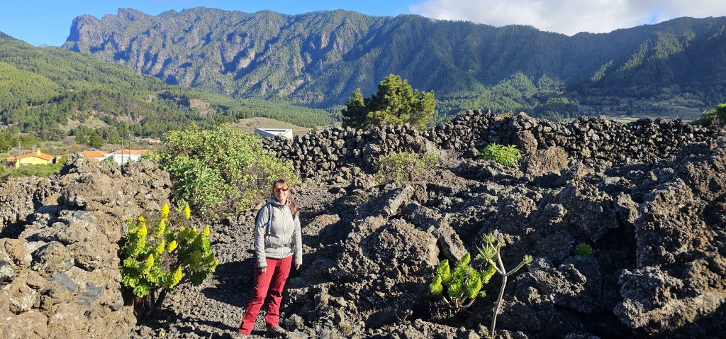 Rundwanderung El Paso - Llano del Jable - Tacande: Blick über das Lava-Feld zur Cumbre Nueva