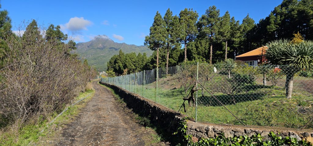 Rundwanderung El Paso - Llano del Jable - Tacande: Blick zurück zum Pico Bejenado