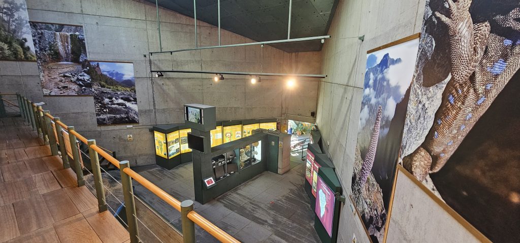 Centro de Visitantes de El Paso: Blick von der Galerie in den Ausstellungsraum