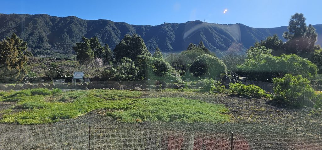 Centro de Visitantes de El Paso: Blick von drinnen in den Botanischen Garten