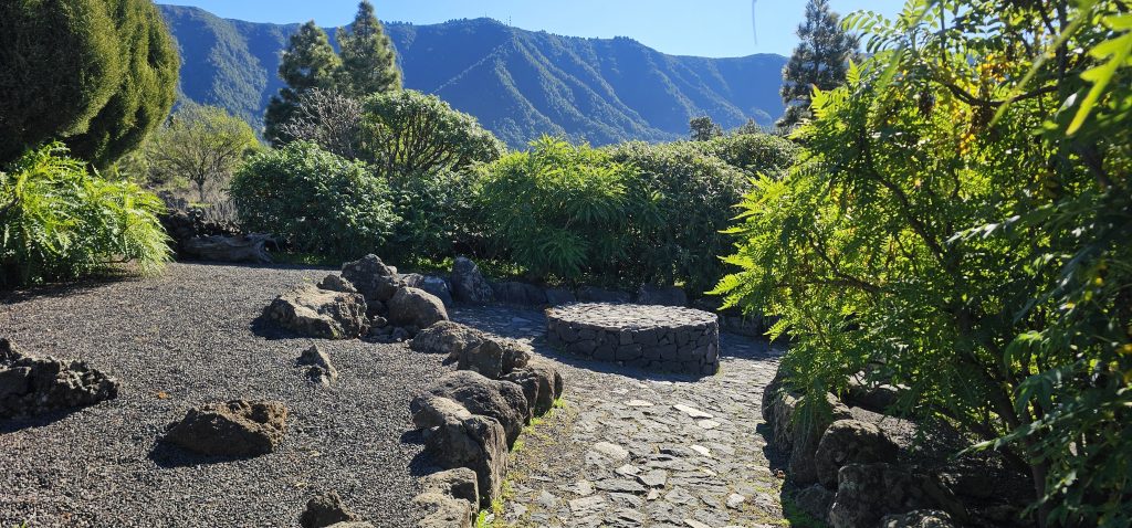 Centro de Visitantes de El Paso: Botanischer Garten im Außenbereich