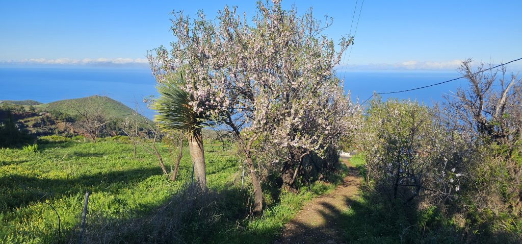 Runde Las Tricias - El Castillo: Weg hinunter Richtung Buracas