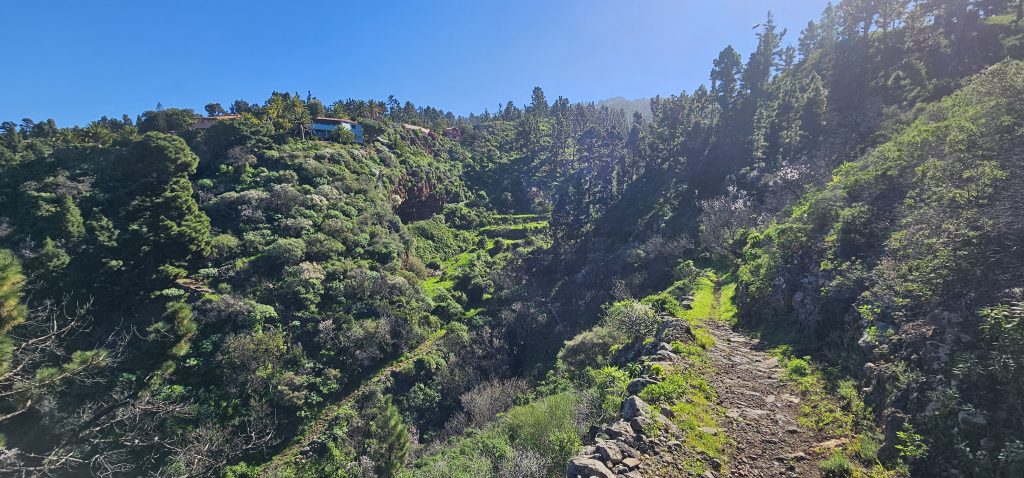 Runde Las Tricias - El Castillo: Zauberhafter üppig bewachsener Barranco