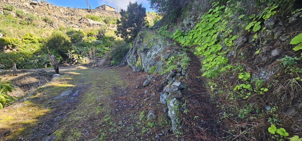 Runde Las Tricias - El Castillo: Hier geht es rechts hoch und wird etwas unwegsam