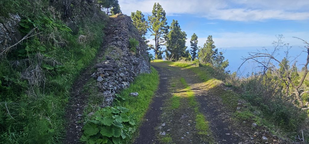 Runde Las Tricias - El Castillo: Hier geht es wieder nach links den Berg hinauf