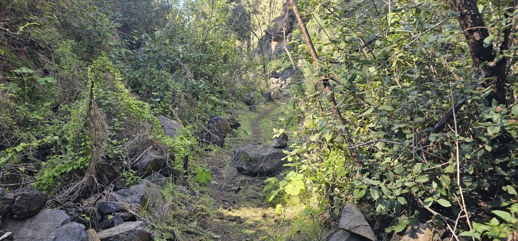 Runde Las Tricias - El Castillo: Am Grund des Barranco del Castillo
