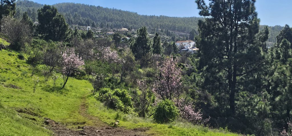 Runde Las Tricias - El Castillo: Las Tricias im Blick