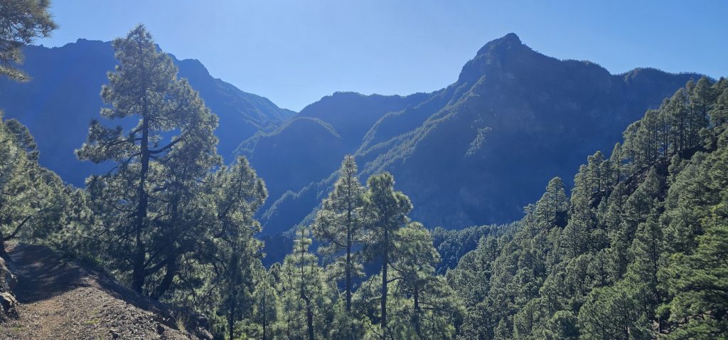 Los Brecitos - Barranco de las Angustias: Blick zum Pico Bejenado und zur Cumbrecita