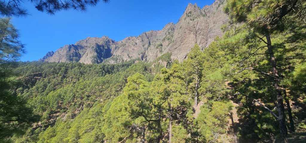 Los Brecitos - Barranco de las Angustias: Blick zurück Richtung Hoya Grande